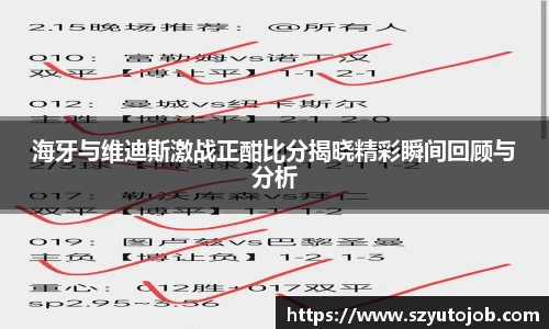 海牙与维迪斯激战正酣比分揭晓精彩瞬间回顾与分析